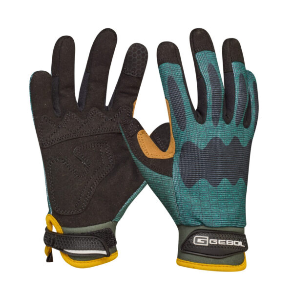 <font color="#74b242">Hedera