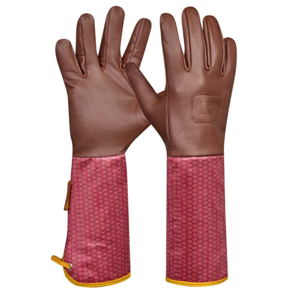 <font color="#74b242">Damascena