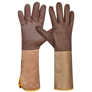 <font color="#74b242">Laurin