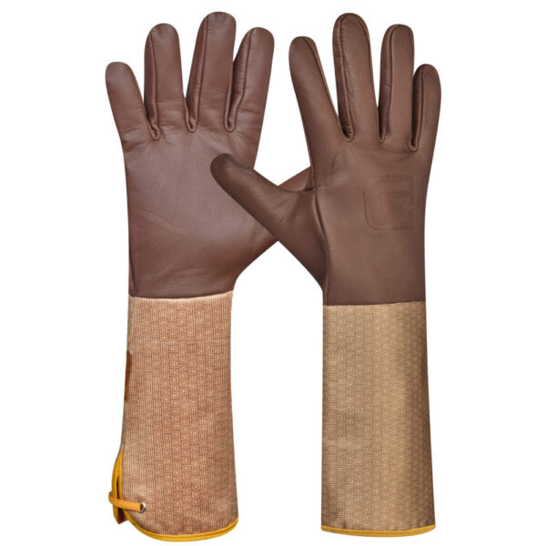 <font color="#74b242">Laurin