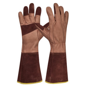 <font color="#74b242">Ilex