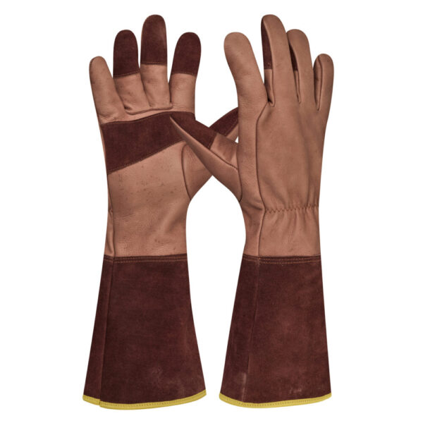 <font color="#74b242">Ilex