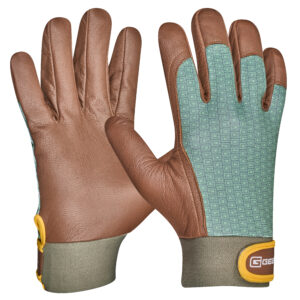 <font color="#74b242">Vitis