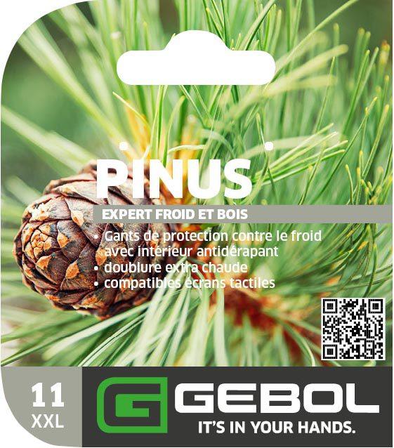 Mockup Headerkarte_0001_780017_11_Pinus_PackagingHeader_28022023_FR