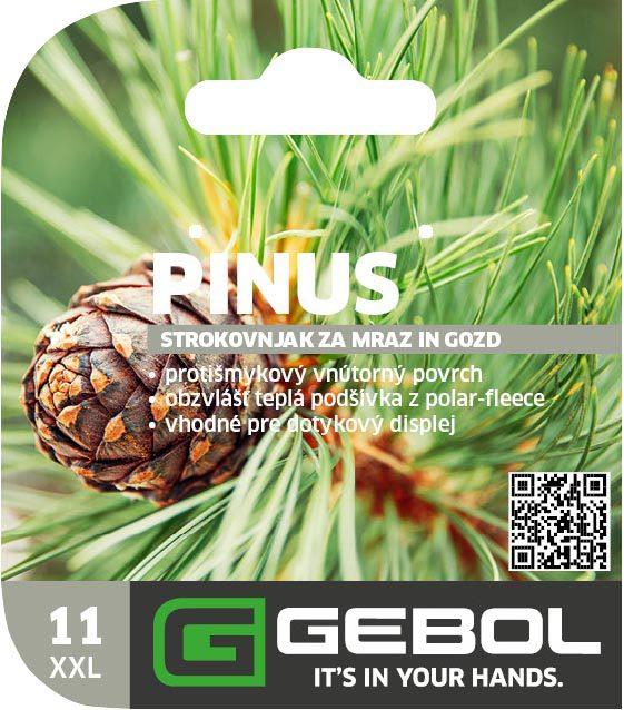 Mockup Headerkarte_0002_780017_11_Pinus_PackagingHeader_28022023_SK