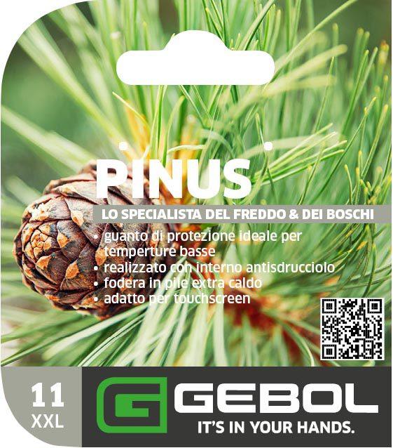 Mockup Headerkarte_0006_780017_11_Pinus_PackagingHeader_28022023_IT