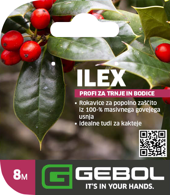 Mockup Headerkarten_Ilex_0000_780016_08_Ilex_PackagingHeader_SLO