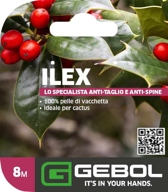 Mockup Headerkarten_Ilex_0003_780016_08_Ilex_PackagingHeader_IT