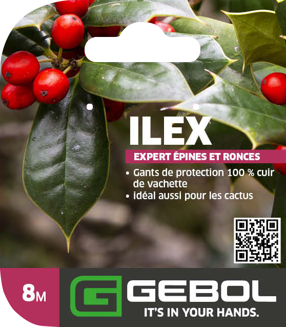 Mockup Headerkarten_Ilex_0004_780016_08_Ilex_PackagingHeader_FR