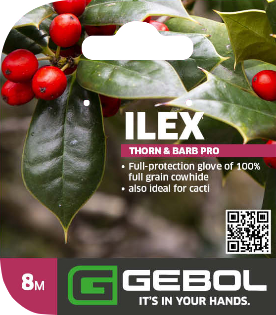 Mockup Headerkarten_Ilex_0005_780016_08_Ilex_PackagingHeader_EN