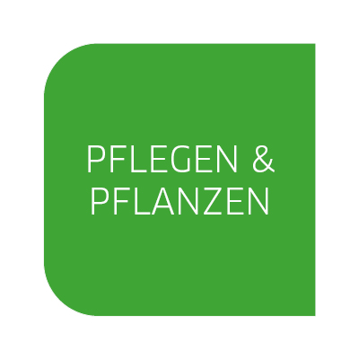 Piktogramm_PflegenundPflanzen