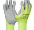 G-Base Neon