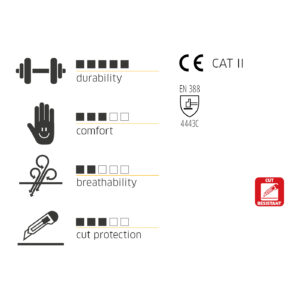 G-Base cut