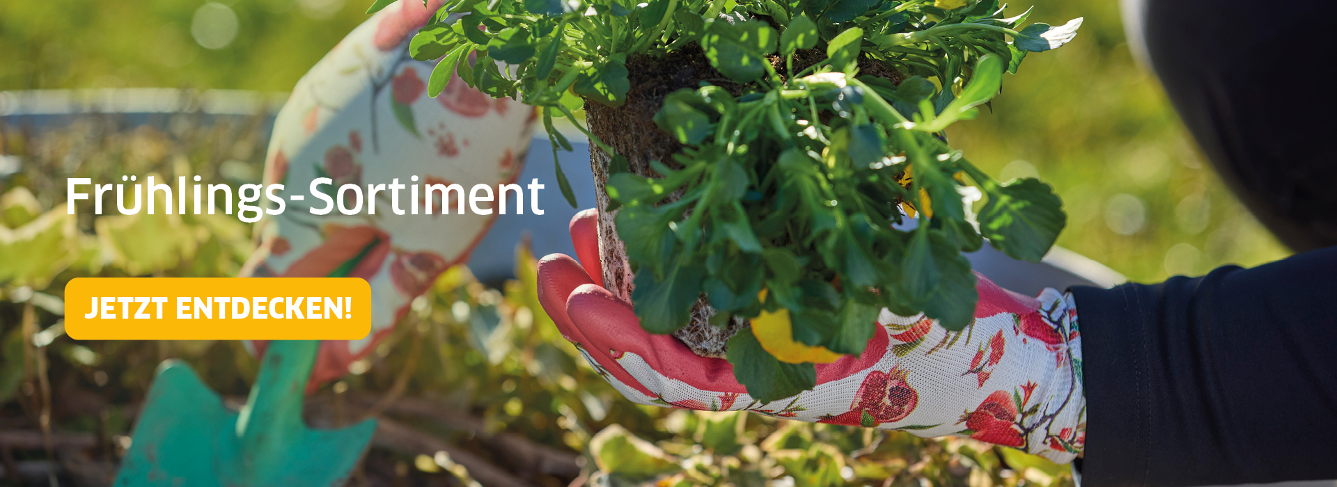 Website Slider 190320266