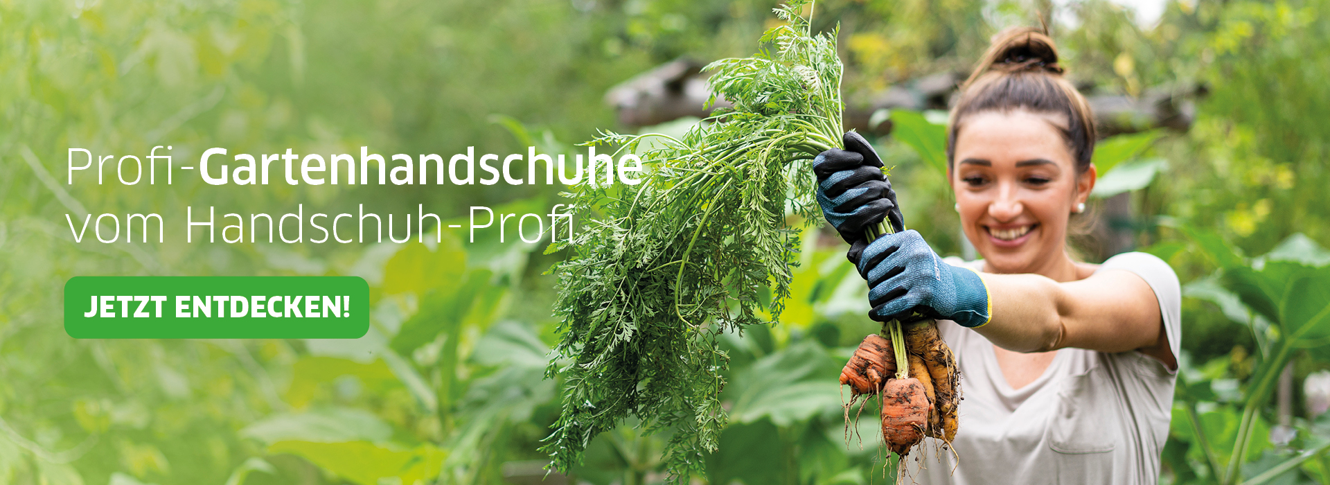 Website Slider 021220254